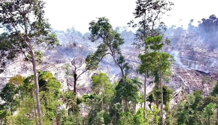 Kebakaran Hutan di Rokan Hulu Capai 30 Hektare